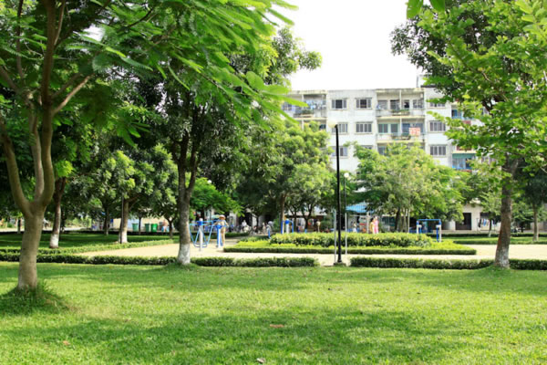 Trồng cây xanh công trình cho đô thị TP Vinh Nghệ An